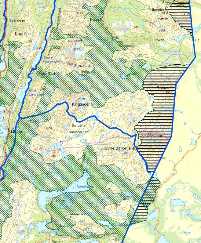 Gijre/vår Reinen er kommet til sine tradisjonelle vårbeiteområder. Simlene og okserein har nå skilt lag og fjorårskalven har forlatt simla.