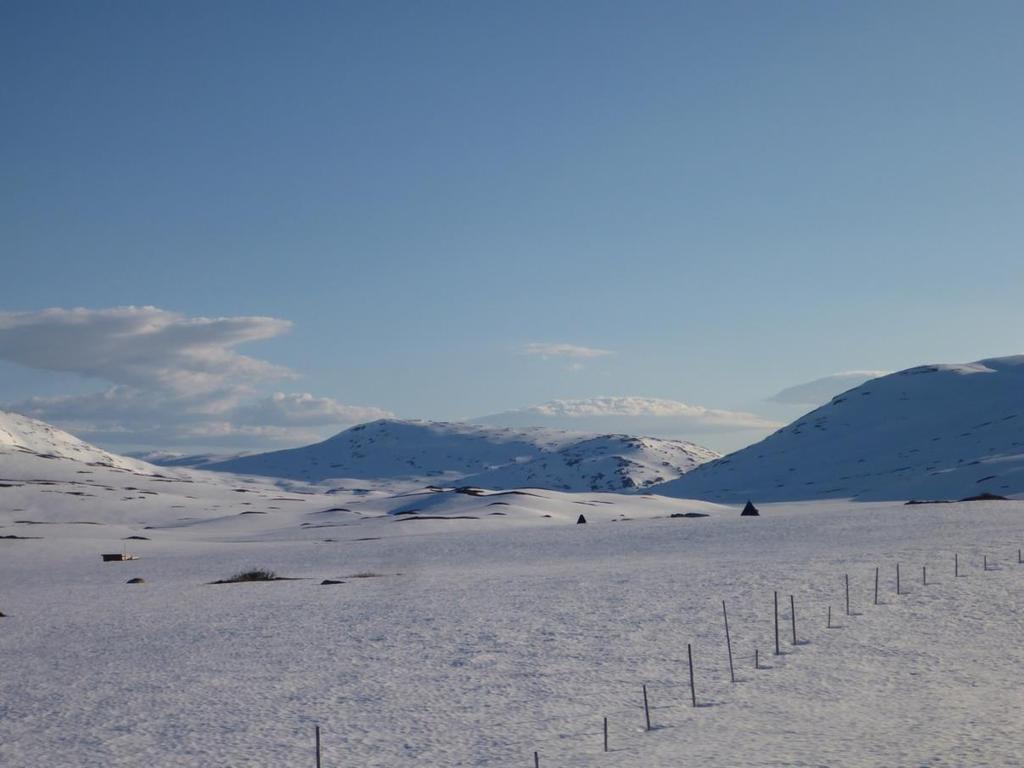 Giengelvihke/Jengelen, kalvemerkingsanlegg og boplass for Steinfjellgruppen i Tjåehkere sijte. Tjåehkere sijte Tjåehkere sijte ligger i Trøndelag reindriftsområde.