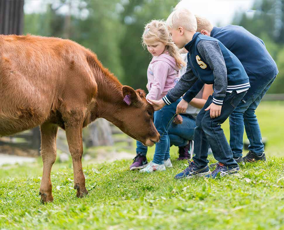 PRAKTISK BONDEGÅRD barn i gamle dager Barnehage 5. trinn På barnas bondegård lærer elevene hvordan ull ble kardet og smør ble laget i gamle dager.