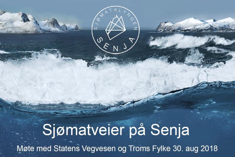 Handlingsplan for Sjømatregion Senja Flaskehalsutredning for prioriterte strekninger i Troms Regjeringen har via Statsministeren nylig varslet utarbeidelse av egen handlingsplan for å ivareta