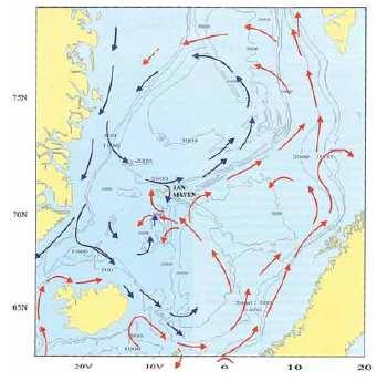 Havstrømmer Det finnes en god oversikt over de større strømsystemene i den nordlige del av Atlanteren, inkludert områdene ved Jan Mayen.