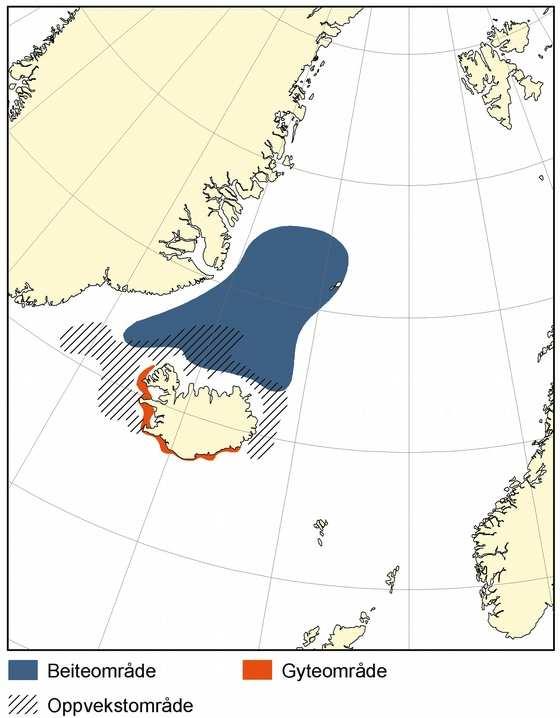 Figur 9-a. Stasjonsnett for Havforskningsinstituttets kartlegging og overvåking av fiskebestander i perioden 1949 2008. Kilde: Havforskningsinstituttet.
