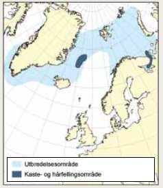 Den mest sentrale dyreplanktonarten i Norskehavet er kopepoden raudåte (Calanus finnmarchicus), men det finnes en rekke andre arter som amfipoder og krill.