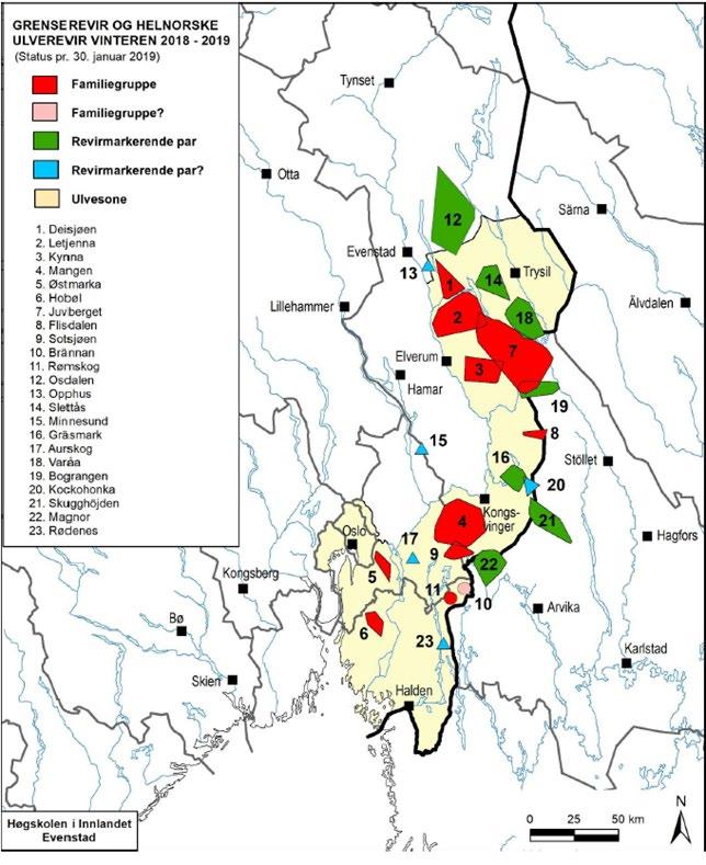 Protokoll for møte i Rovviltnemnda 26. mars 2019 Side 5 av 8 2019). Etter undersøkelsesperioden og fram til i dag er ytterligere to dyr felt under lisensfelling (9. mars i Flesberg i region 2 og 12.