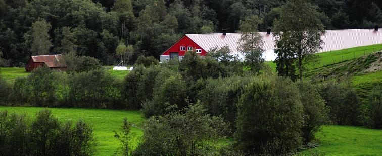 Forventningene innfridd Kirkeeide samdrift i Stryn i Sogn og Fjordane 6 deltakere Kvote på 450 tonn Disponerer 760 dekar dyrket areal Full framfôring av oksene Fjøset er stort, men diskret plassert i