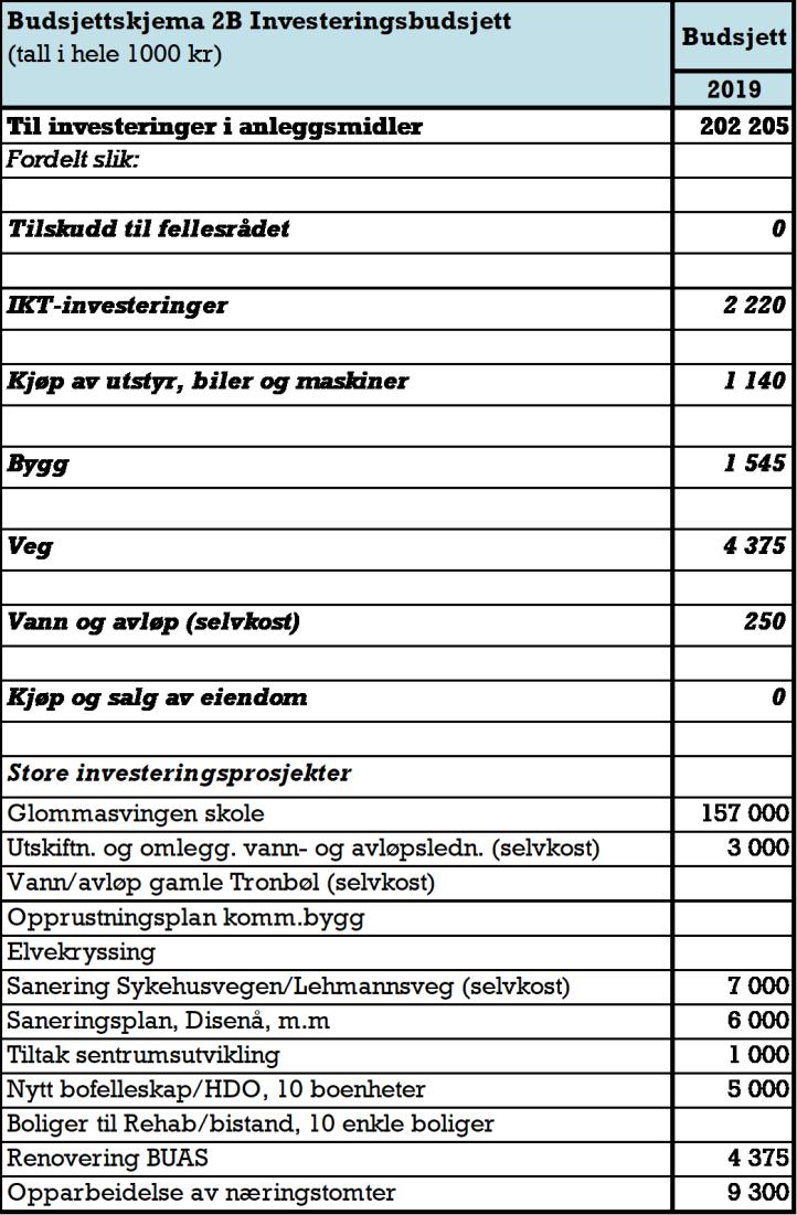 Investeringene fordeler seg på prosjekter ihht. budsjettskjema 2B: 6. Kommunestyret vedtar en utlånsramme på 20 mill. kr. for startlån i 2019. 7. Kommunestyret vedtar låneopptak på 187 mill. kr. Herunder 167 mill.