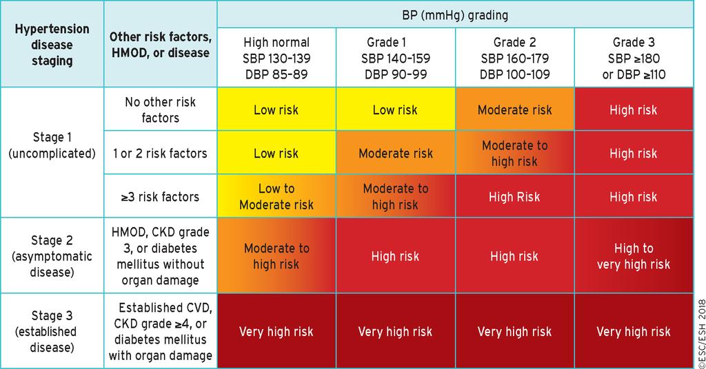 Bergen Hypertension and Cardiac Dynamics Group/Department of Clinical Science 2018