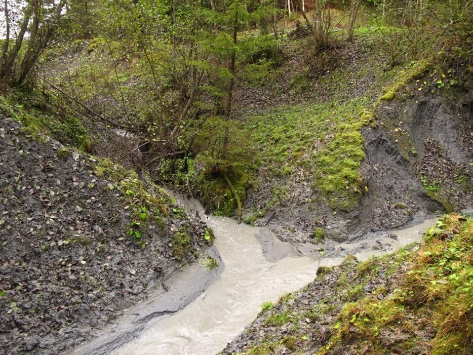 Raviner er dynamiske pågår naturlige erosjonsprosesser Utvikler seg videre, ved å grave