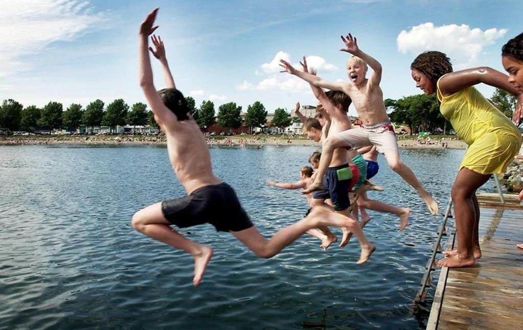 Vibrio og Shewanella i Oslofjorden, Telemarksog Sørlandskysten 2018 Algeoppblomstring