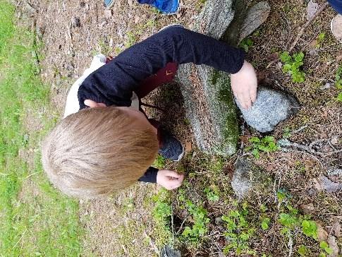 Det å opprettholde barnas interesse for naturen og miljøet er en viktig oppgave. Fuglekasse prosjektet er et godt eksempel.