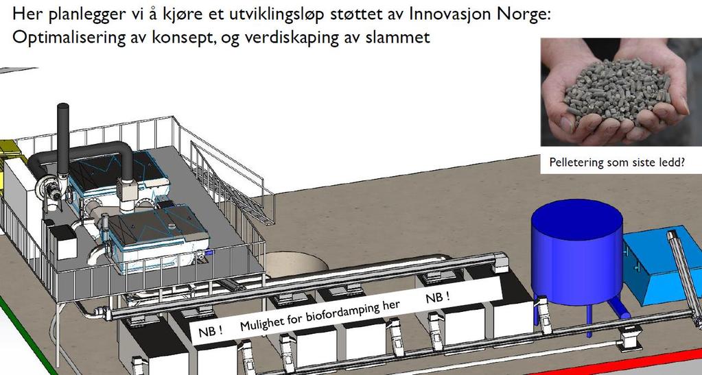 As Sævareid settefisk renser avløpsvannet og