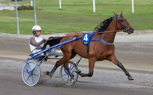 GRATIS INNGANG anekode: 0 Varmingsinfo fra Ole Jonny Solberg JERKEANEN Nr 7/09 Kr Harmke Schermer/Eirik Høitomt Foto: hesteguiden.com www.bjerke.no Onsdag. juni -. løp kl. 9.