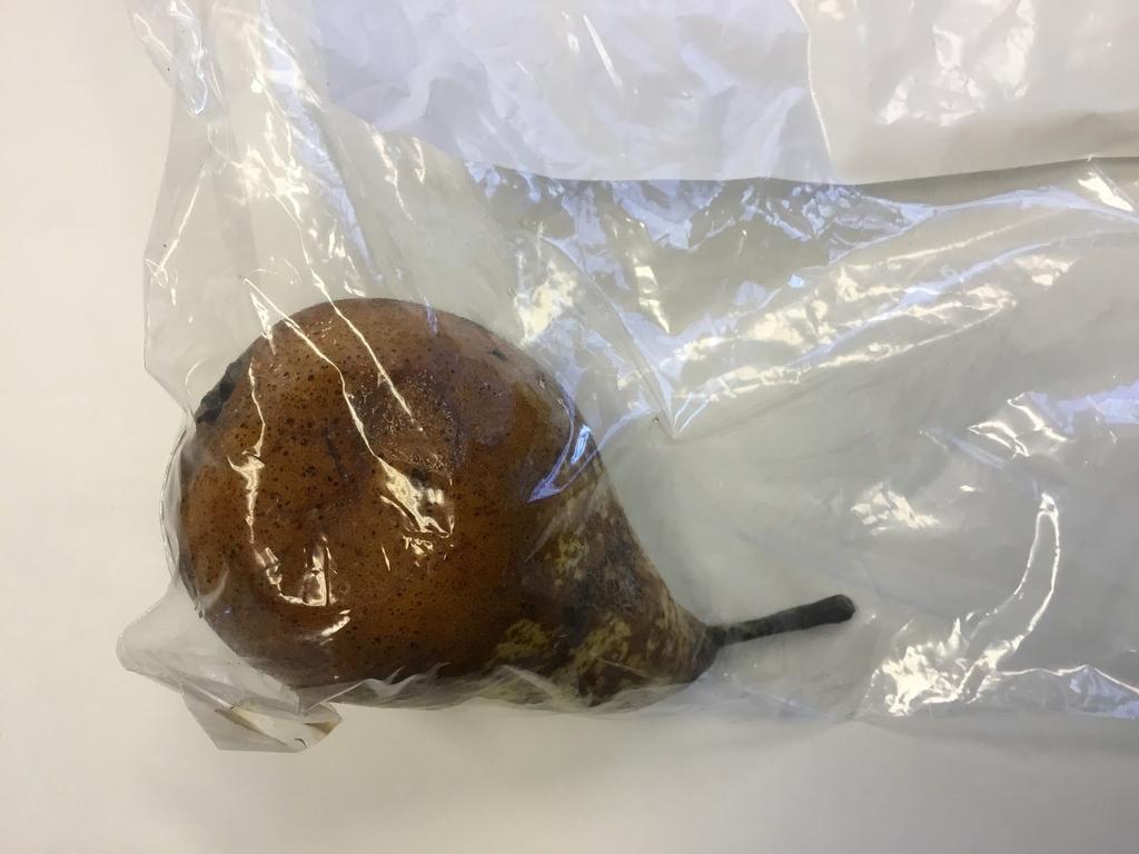 Økologisk pære i plastpose på benk: Har begynt å mugne.