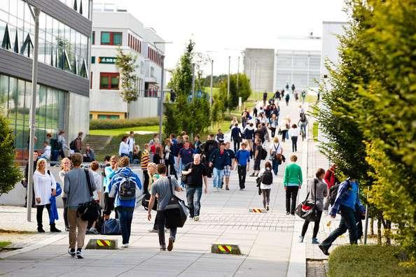 Bredt sett av studieprogram Tilbod som konkurrerer med BI og NHH Bachelor-program (3 år) Økonomi og administrasjon Regnskap og revisjon