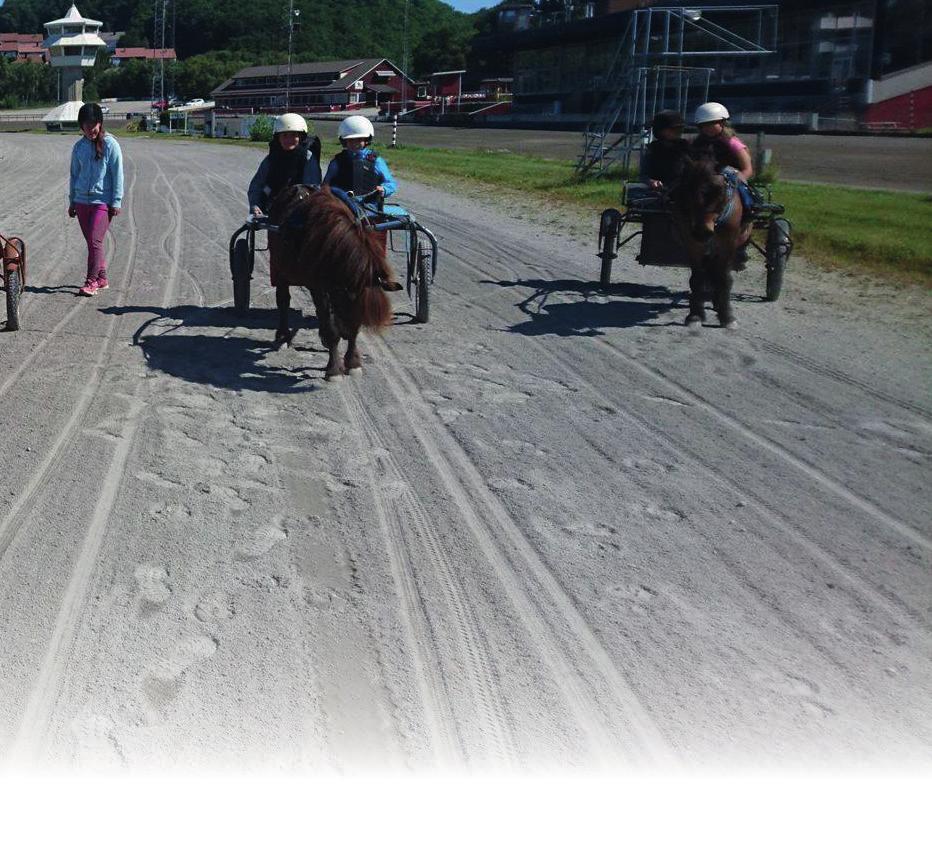 : Sverige Eier: inn Arne Bakkeberg /Sørumsand Rød m/blå ermer, sølv/blå seler, rek Helene Kolle (A) - inn Arne Bakkeberg 08: 0 9 08: 9 0-0 -0-0 - -7-3,3v -30.44 - Å. Tengsareid S. Løvvold S.