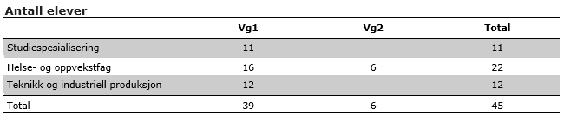 2.2 Utdanningsprogram og elevtal Totalt elevtal: 45 (40 med ungdomsrett) Skuleåret 17-18 hadde vi 10 elevar med rett til ekstra språkopplæring.