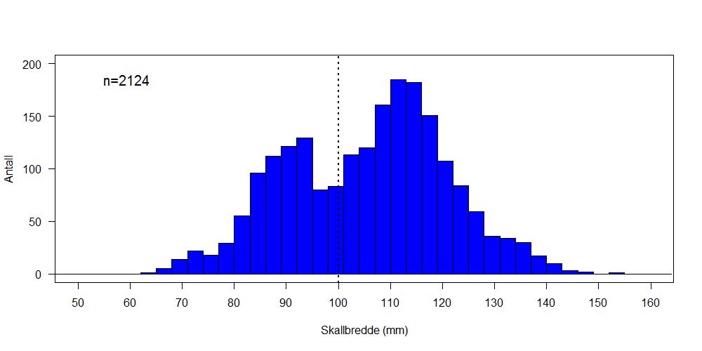 Figur 11. Kart som viser fangst av snøkrabbe fra teinetoktet med M/S Prowess (oransje og gule) i juni 2018 samt tråldata fra økosystemtoktet i 2017 (grønne bobler). Figur 12.