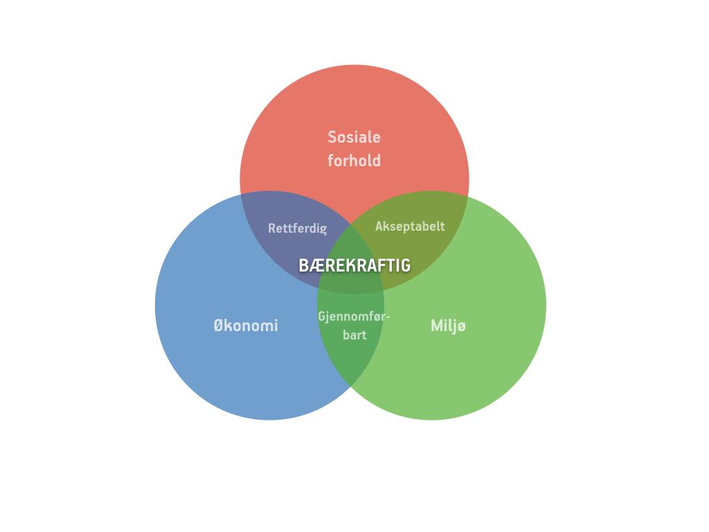 Bærekraftig utvikling Med bærekraftig utvikling mener vi at vi skal jobbe slik at vi dekker dagens behov uten å ødelegge mulighetene for at kommende generasjoner kan få dekket sine.
