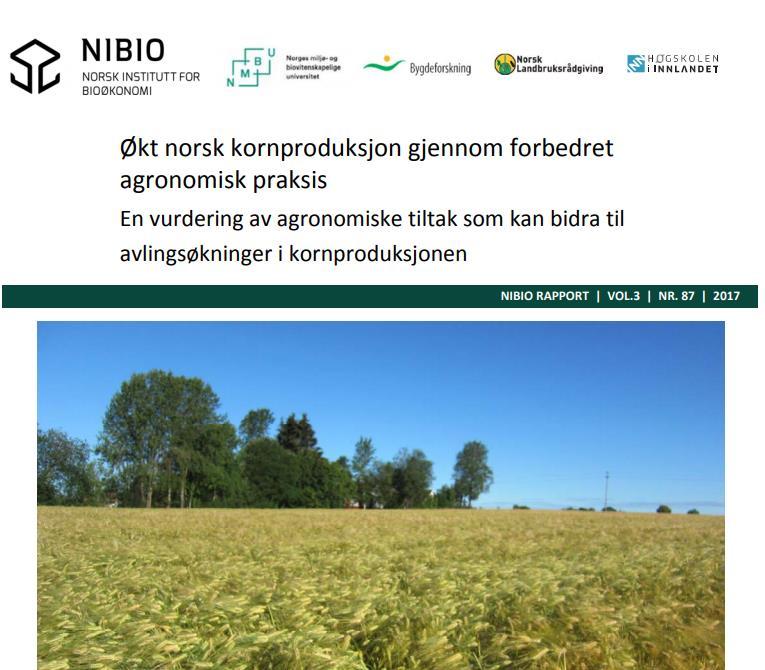 Norsk kornproduksjon har 10 % lavere avling enn sitt potensial på grunn av redusert moldinnhold