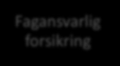 Fagansvarlig forsikring Daglig leder Risikofunksjon Operativ