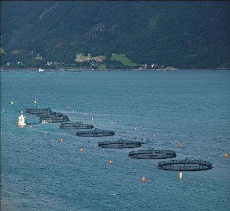 Mineralindustrien Havner Veiutbygging og