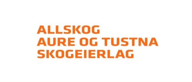 Årsmelding 2018 Lagets tillitsvalgte Valgperiode Leder: Olav Eines 2017-2019 Nestleder: Rune Ormbostad 2018-2020 Styremedlem: Ove Ormbostad 2017-2019 Styremedlem: Tore Olav Melland 2017-2019