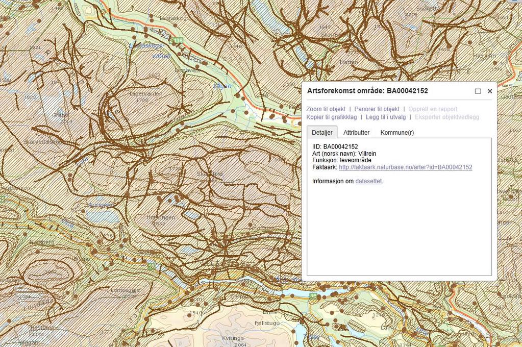 Villrein leveområder Inngår i Nasjonalt viktige arter Naturbase er primærdatabase Datasettet viser funksjonsområder