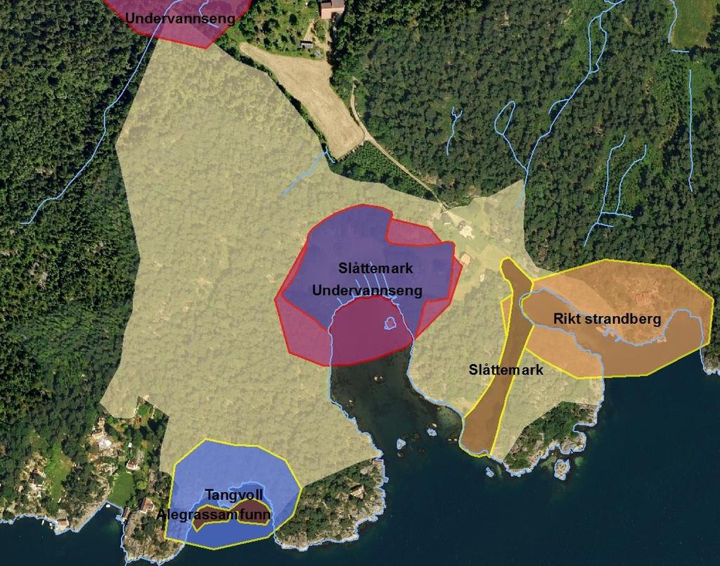 Eksempel på bruk av miljødata Forslag til nytt hytteområde i kommuneplan for Lillesand Registrert flere viktige naturtyper i området Kartbildet viser potensielle