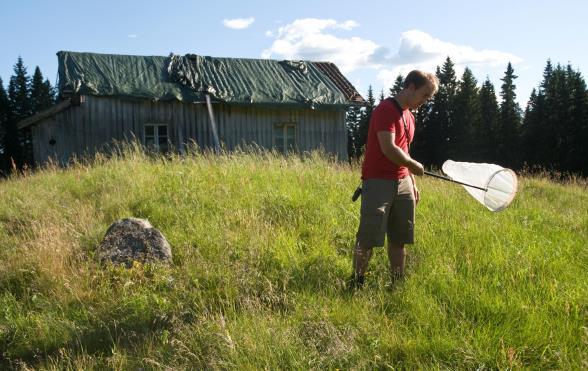 Kunnskap hva tilbyr vi?