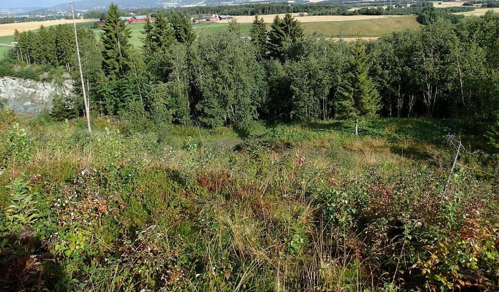 Store deler av planområdet er preget av inngrep i form av eksisterende steinbrudd, hogstfelt, et plantefelt av gran