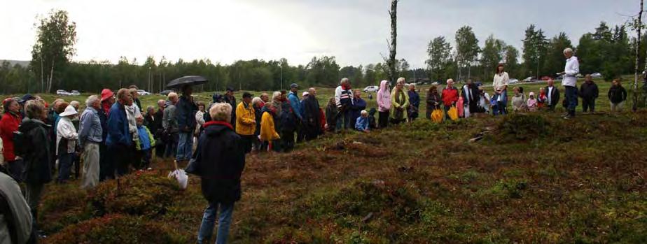 Området bestod tidligere av høy, mørk granskog som skjulte kulturminnene. Foruten at gravhauger og bautasteiner ble mer synlige, ble også utsynet mot Visterflo åpnet opp.