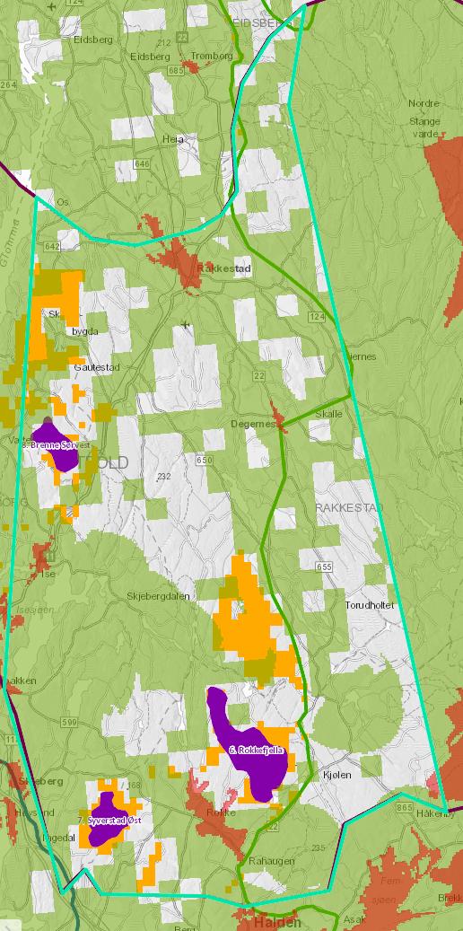 Utsnitt fra regional plan med inntegnet avgrensning av NVEs utpekte område med myke og harde