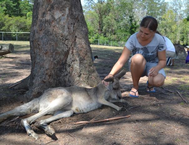 I motsetning til hjemme er det ikke lov å ha med kalkulator eller formelsamlinger på prøver, som heller ikke gjør ting enklere. Livet i Australia Når vi kom ned til Australia 5.