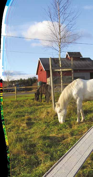 Stolper Valget avhenger av hva slags grunn det er der gjerdet skal stå, hvor ofte det skal flyttes