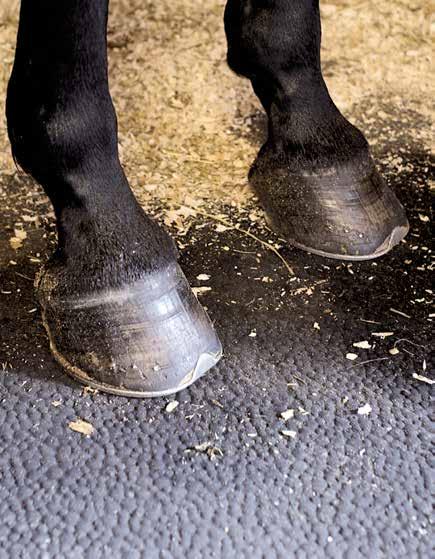 Myke gulv gir hesten din trygghet og komfort Gummimatter kan legges i boksen, gangen eller i dyretransporten. Fordelen med gummimatter er at hesten din slipper glatte, kalde og harde gulv.