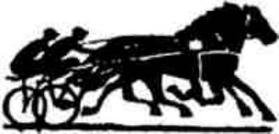Proposisjoner for Lokalkjøring (Familiedagen) på Tjølling Landbane mandag 10.juni 2019 kl.13.00. Arrangør: SANDEFORD TRAVFORENING og LARVIK TRAVLAG KALDBLODSHESTER: 1.LØP: 3-årige hester.