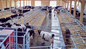 - erfaring - kunnskap - fleksibilitet - kvalitet - utvalg - NRF49-RUDI -innredning for kjøttfe se utvalget på