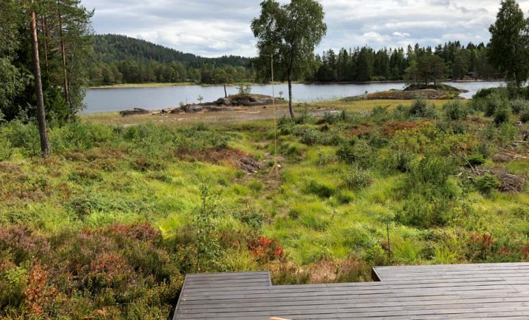 (område D19). I tillegg er denne tomten berørt av pbl 1-8 forbud mot tiltak i 100 meters beltet, samt i strid med flomsonen avsatt i kommuneplanen.