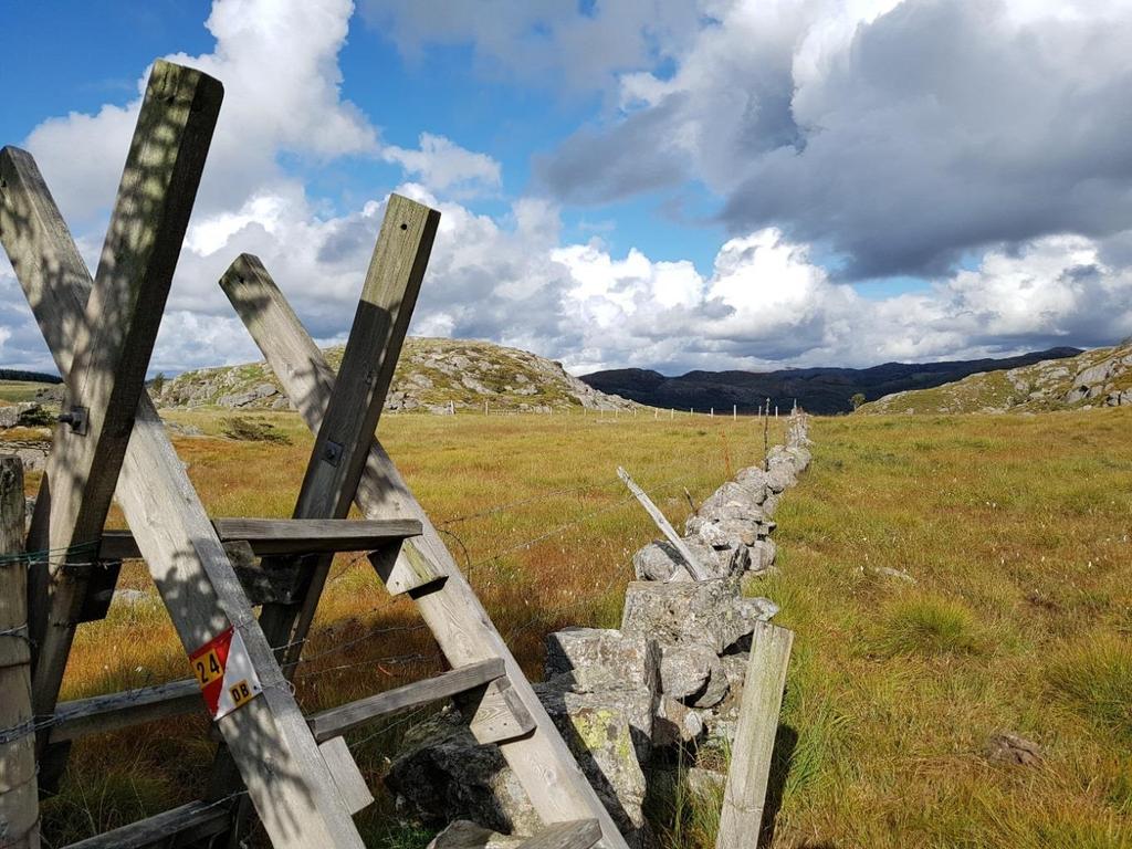 Fritidsveiledere Barn og unge i Gjesdal skal kunne delta på minst en fritidsaktivtet. Noen trenger, av ulike årsaker, litt veiledning og støtte for å finne den rette aktiviteten.