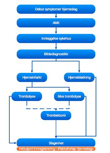 Vi monitorerer akuttforløpet fra Norsk hjerneslagregister via: PAKKEFORLØP HJERNESLAG- FASE 1