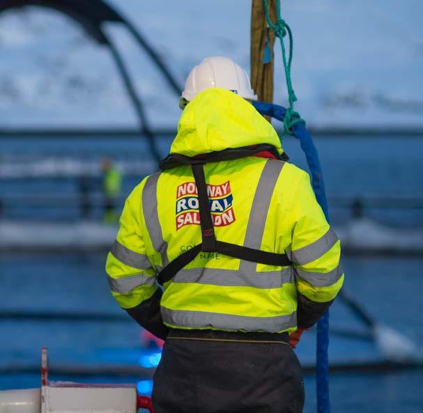 Committed by name Norway Royal Salmon er et navn vi er stolt av og et navn vi jobber hardt hver dag for å leve opp til.