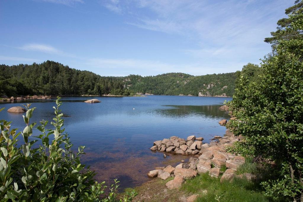 4.3 Vannressurser Utredningsområdet berører eksisterende drikkevannskilder både i Mandal kommune og Lindesnes kommune.