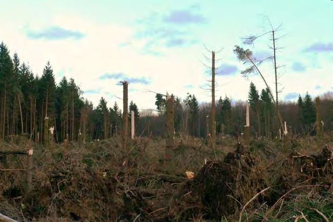 K L I M A E R I E N D R I N G Utfordring Ekstremvær Ekstremt mykje dårleg vær Ekstreme konsekvensar av vær Varmt om vinteren -> lite