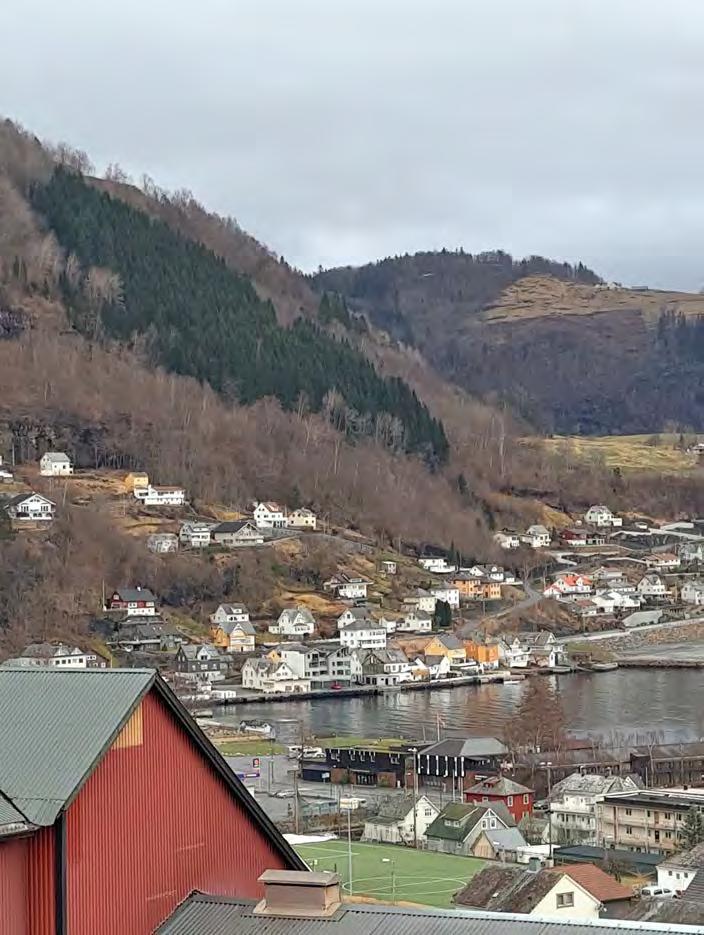 næringa Samarbeid med utanlandske partnarar Overføringsverdi mellom kommunane Uavhengig og profesjonell rådgjeving i område der skog er av vesentleg