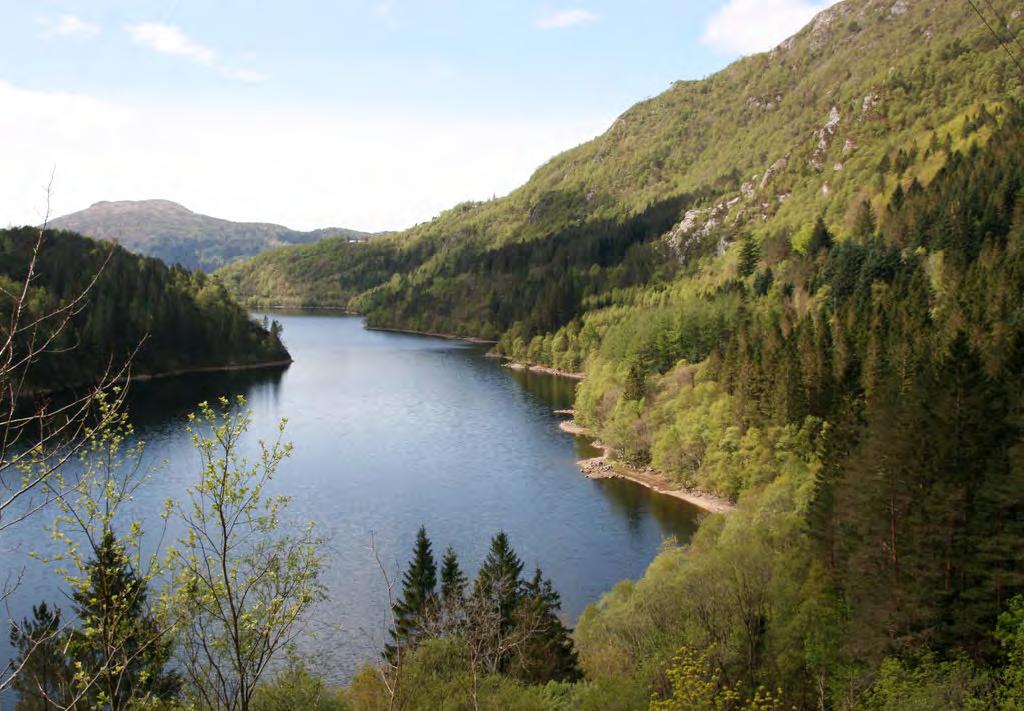 DRIKKEVATNKJELDE - BERGEN PLANTING NEDBØR AVRENNING UTVASKING STORM VASSVEGAR TRESLAG