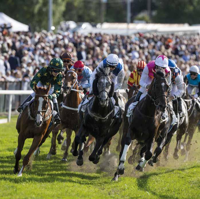 ØVREVOLL GALOPP SESONGEN 2019 Foto: Hesteguiden.