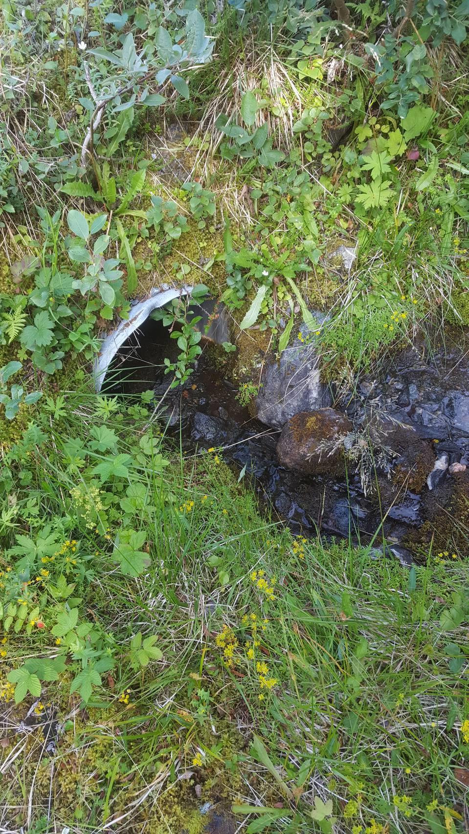 Det er en bekk i område som skal være åpen ned til lekeplass/myrområde. maksimal vannstandstigning regnes å være 2-3 meter jf.