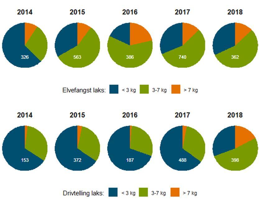 Størrelsesfordelingen av laks som ble observert under gytefisktellingene i undersøkelsesperioden 2014-2018 samsvarer ikke helt med størrelsesfordelingen av laks fanget under elvefisket i Eira (figur