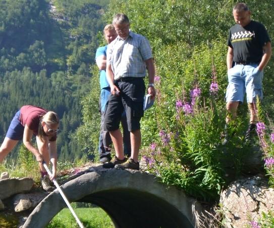 Målet er å vurdere miljøpåverknaden av forbyggingar og utrettingar i dei utvalde elvene.