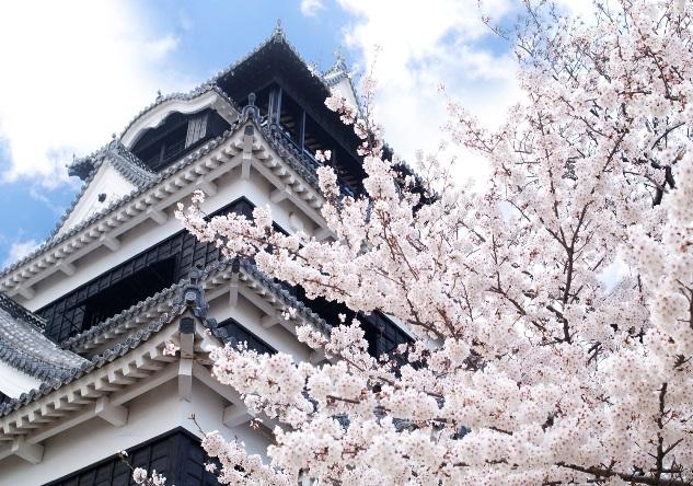 Byen Kumamoto Kumamoto er en storby med 650.000 mennesker som ligger ca. halvveis mellom Fukuoka og Kagoshima.